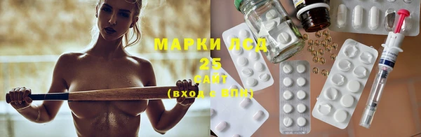 ГАЛЛЮЦИНОГЕННЫЕ ГРИБЫ Няндома