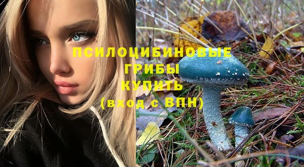 первитин Новодвинск