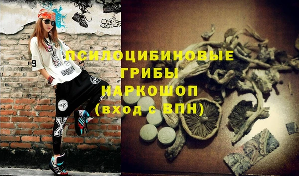 ГАЛЛЮЦИНОГЕННЫЕ ГРИБЫ Няндома