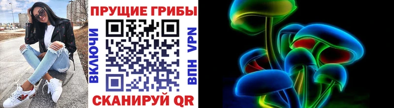 Псилоцибиновые грибы Cubensis  продажа наркотиков  Нововоронеж 