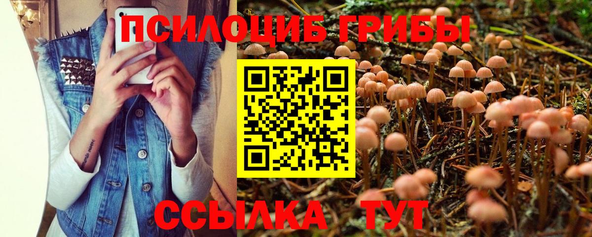 Псилоцибиновые грибы мицелий  Нововоронеж 