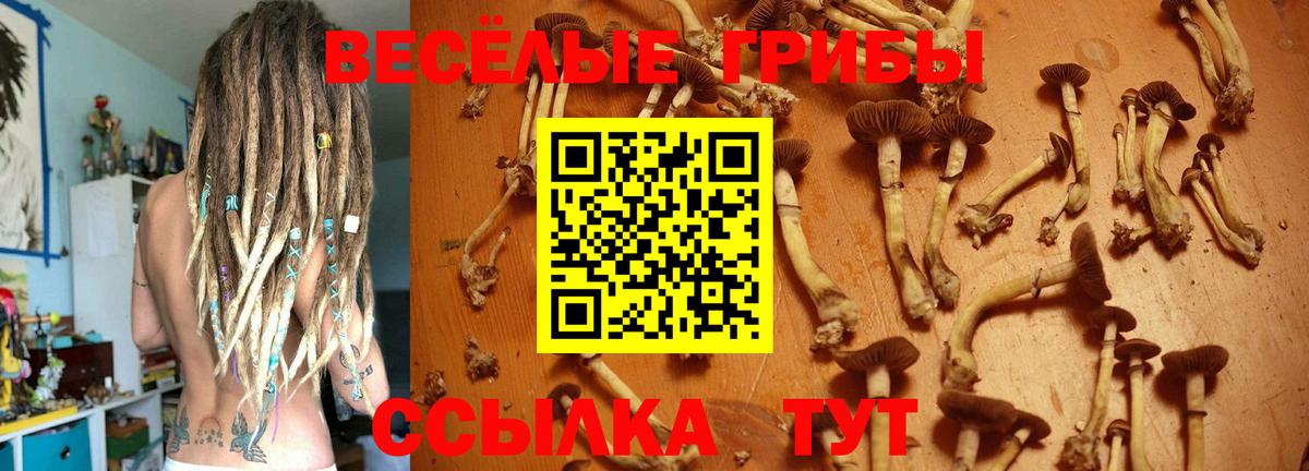 Галлюциногенные грибы MAGIC MUSHROOMS Нововоронеж