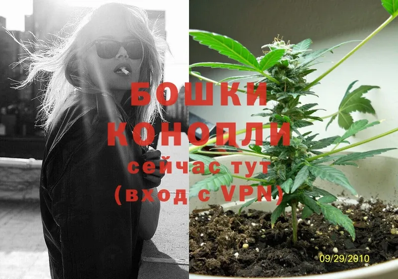 Бошки марихуана OG Kush  как найти   Нововоронеж 