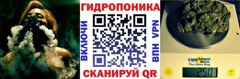 Марихуана White Widow  закладки  Нововоронеж 